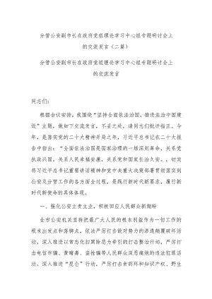 分管公安副市长在政府党组理论学习中心组专题研讨会上的交流发言(二篇).docx