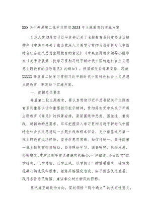 XXX关于开展第二批学习贯彻2023年主题教育的实施方案.docx