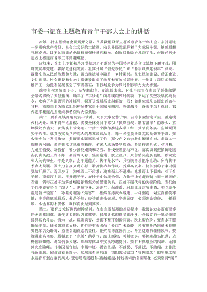 市委书记在主题教育青年干部大会上的讲话.docx