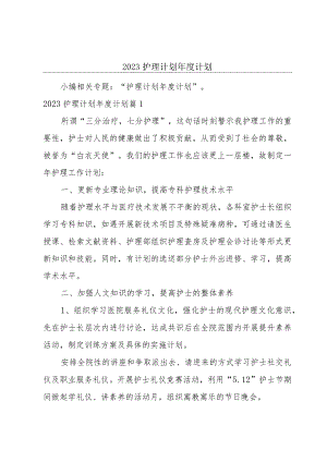 2023护理计划年度计划.docx