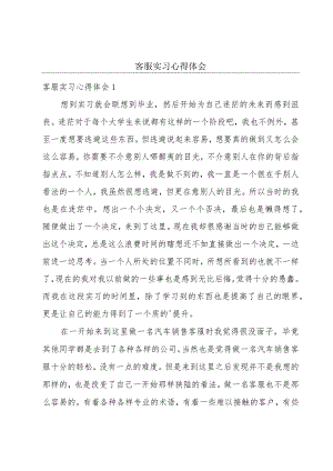 客服实习心得体会.docx