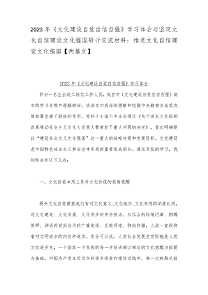 2023年《文化建设自觉自信自强》学习体会与坚定文化自信建设文化强国研讨交流材料：推进文化自信建设文化强国【两篇文】.docx