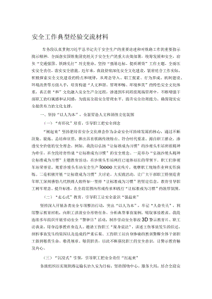 安全工作典型经验交流材料.docx