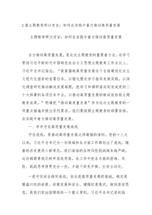 2篇主题教育研讨发言：如何在实践中着力推动高质量发展.docx