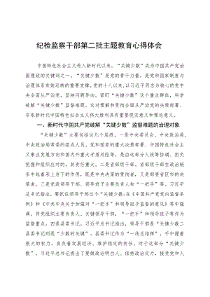 纪检监察干部第二批主题教育心得体会.docx