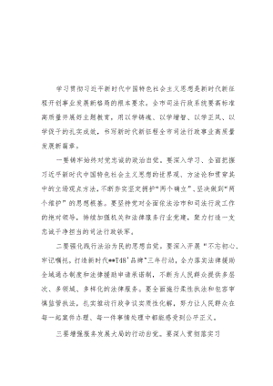 （6篇）司法局党员干部2023第二批主题教育学习心得体会研讨发言材料.docx