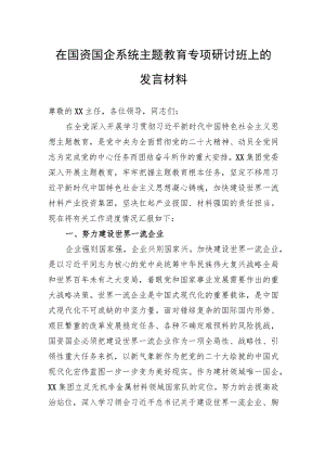 在国资国企系统主题教育专题研讨班上的发言材料.docx