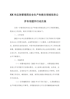 XX市应急管理局安全生产和救灾领域信息公开专项提升行动方案.docx