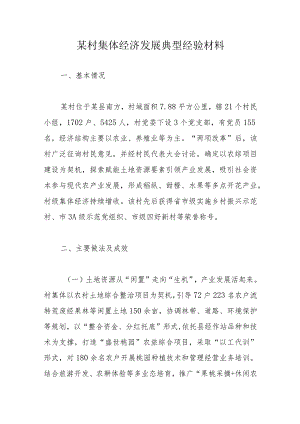 某村集体经济发展典型经验材料.docx