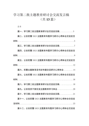 2023学习第二批主题教育研讨会交流发言稿13篇（精编版）.docx