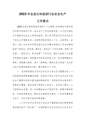 XX县文化体育和旅游局2023年全县文体旅游行业安全生产工作要点.docx