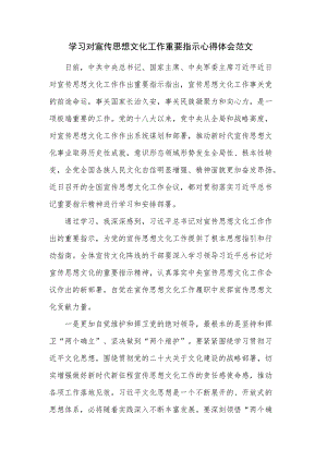 学习对宣传思想文化工作重要指示心得体会范文.docx