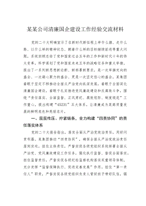 某某公司清廉国企建设工作经验交流材料.docx