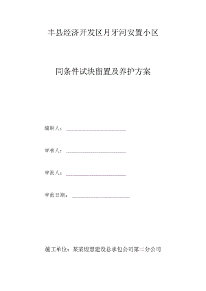 同条件试块留置及养护方案模板.docx