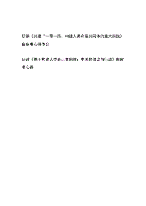 研读《共建“一带一路”：构建人类命运共同体的重大实践》白皮书心得体会+研读《携手构建人类命运共同体：中国的倡议与行动》白皮书心得.docx