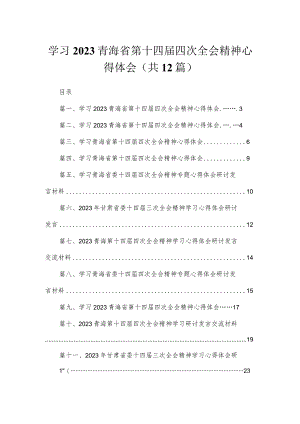 学习2023青海省第十四届四次全会精神心得体会【12篇】.docx