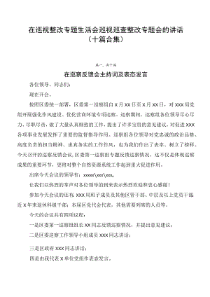在巡视整改专题生活会巡视巡查整改专题会的讲话（十篇合集）.docx