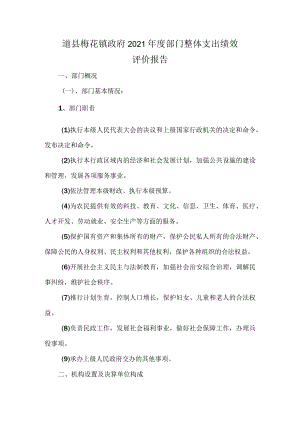 道县梅花镇政府2021年度部门整体支出绩效评价报告.docx
