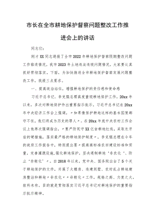 市长在全市耕地保护督察问题整改工作推进会上的讲话.docx