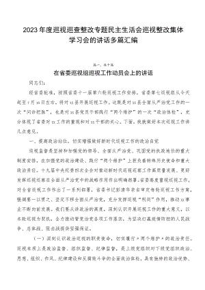 2023年度巡视巡查整改专题民主生活会巡视整改集体学习会的讲话多篇汇编.docx