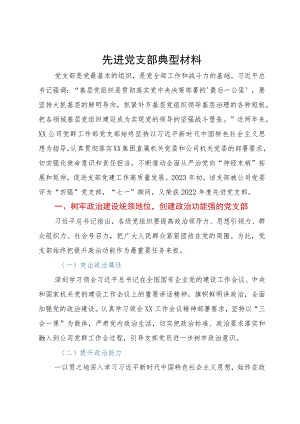 公司先进党支部典型材料.docx
