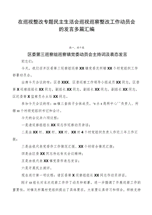 在巡视整改专题民主生活会巡视巡察整改工作动员会的发言多篇汇编.docx