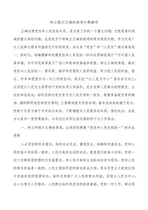 树立践行正确政绩观专题辅导.docx