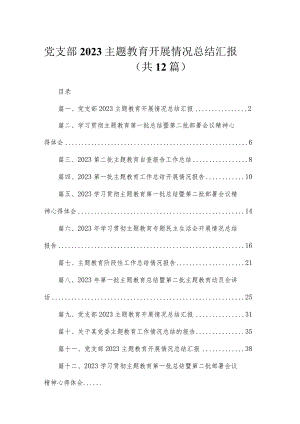 2023党支部主题教育开展情况总结汇报12篇（精编版）.docx