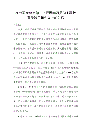 在公司党总支2023年开展学习贯彻第二批主题教育专题工作会议上的讲话发言.docx