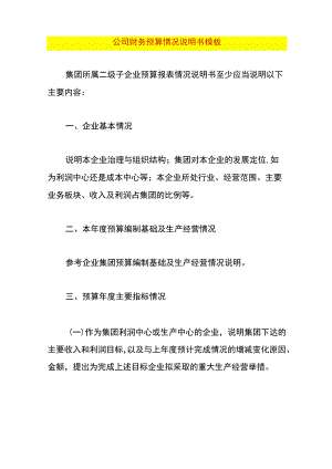 公司财务预算情况说明书模板.docx