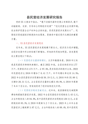 县民营经济发展调研报告.docx