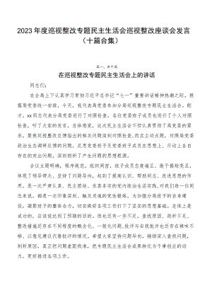 2023年度巡视整改专题民主生活会巡视整改座谈会发言（十篇合集）.docx