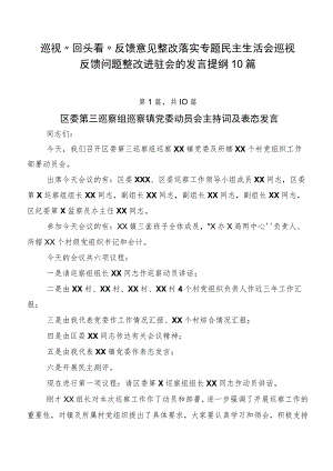 巡视“回头看”反馈意见整改落实专题民主生活会巡视反馈问题整改进驻会的发言提纲10篇.docx