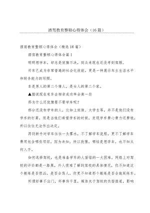 酒驾教育整顿心得体会（16篇）.docx