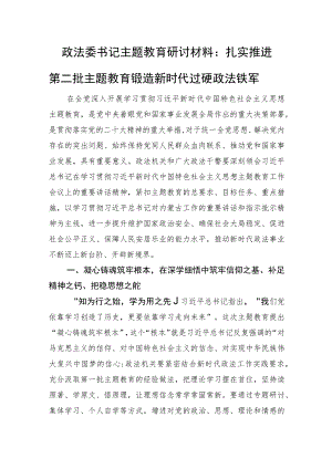 政法委书记主题教育研讨材料：扎实推进第二批主题教育+锻造新时代过硬政法铁军.docx