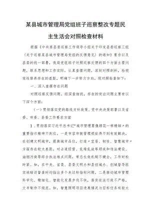 某县城市管理局党组班子巡察整改专题民主生活会对照检查材料.docx