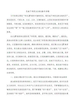 忠诚干净担当合格23年讲稿.docx