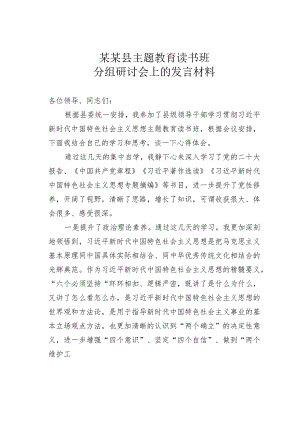 某某县主题教育读书班分组研讨会上的发言材料.docx