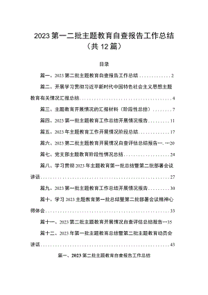 2023第一二批主题教育自查报告工作总结（共12篇）.docx