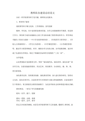 教师队伍建设总结范文.docx