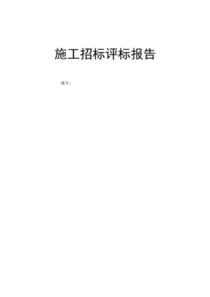 施工招标评标报告范本.docx