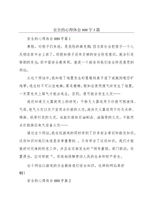 安全的心得体会800字5篇.docx