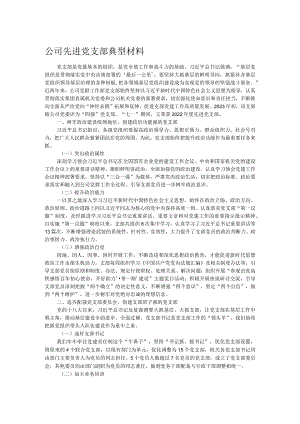 公司先进党支部典型材料.docx