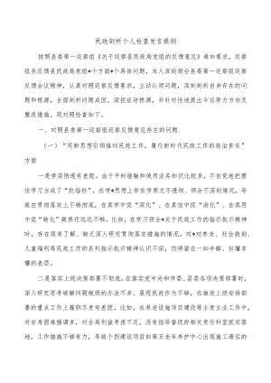 民政剖析个人检查发言提纲.docx