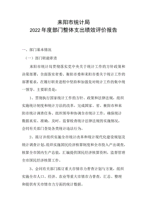耒阳市统计局2022年度部门整体支出绩效评价报告.docx
