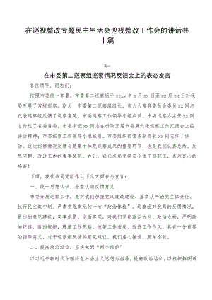 在巡视整改专题民主生活会巡视整改工作会的讲话共十篇.docx