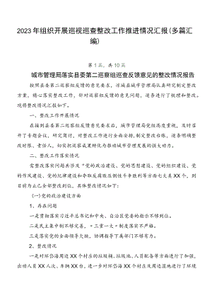 2023年组织开展巡视巡查整改工作推进情况汇报（多篇汇编）.docx