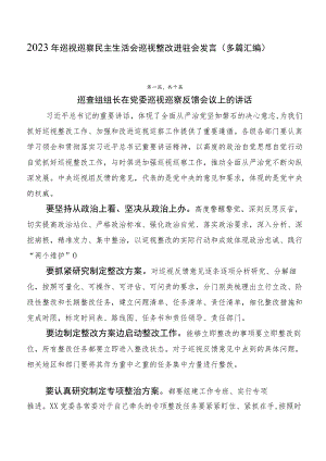 2023年巡视巡察民主生活会巡视整改进驻会发言（多篇汇编）.docx