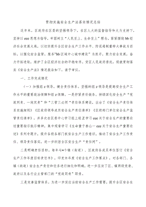 贯彻实施安全生产法落实情况总结.docx