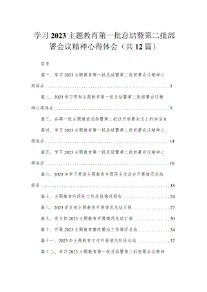 2023学习主题教育第一批总结暨第二批部署会议精神心得体会（共12篇）.docx